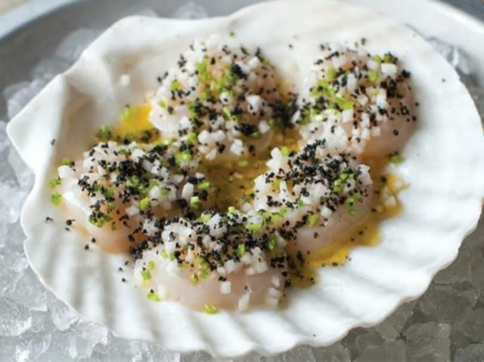 Raw scallops | crushed ice | black salt | citrus zest | olive oil