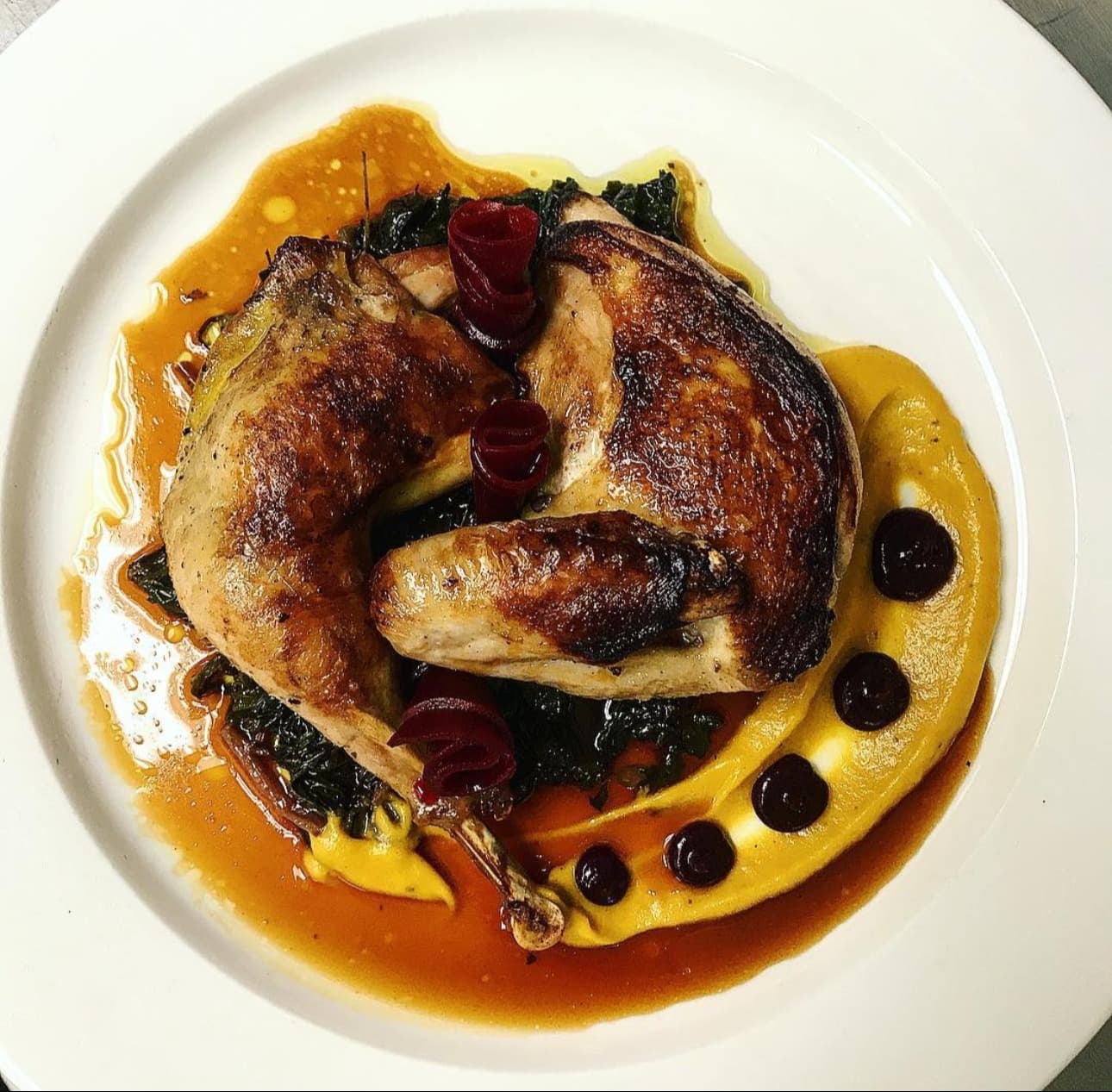 Roasted chicken | cherry compote | squash purée | braised kale