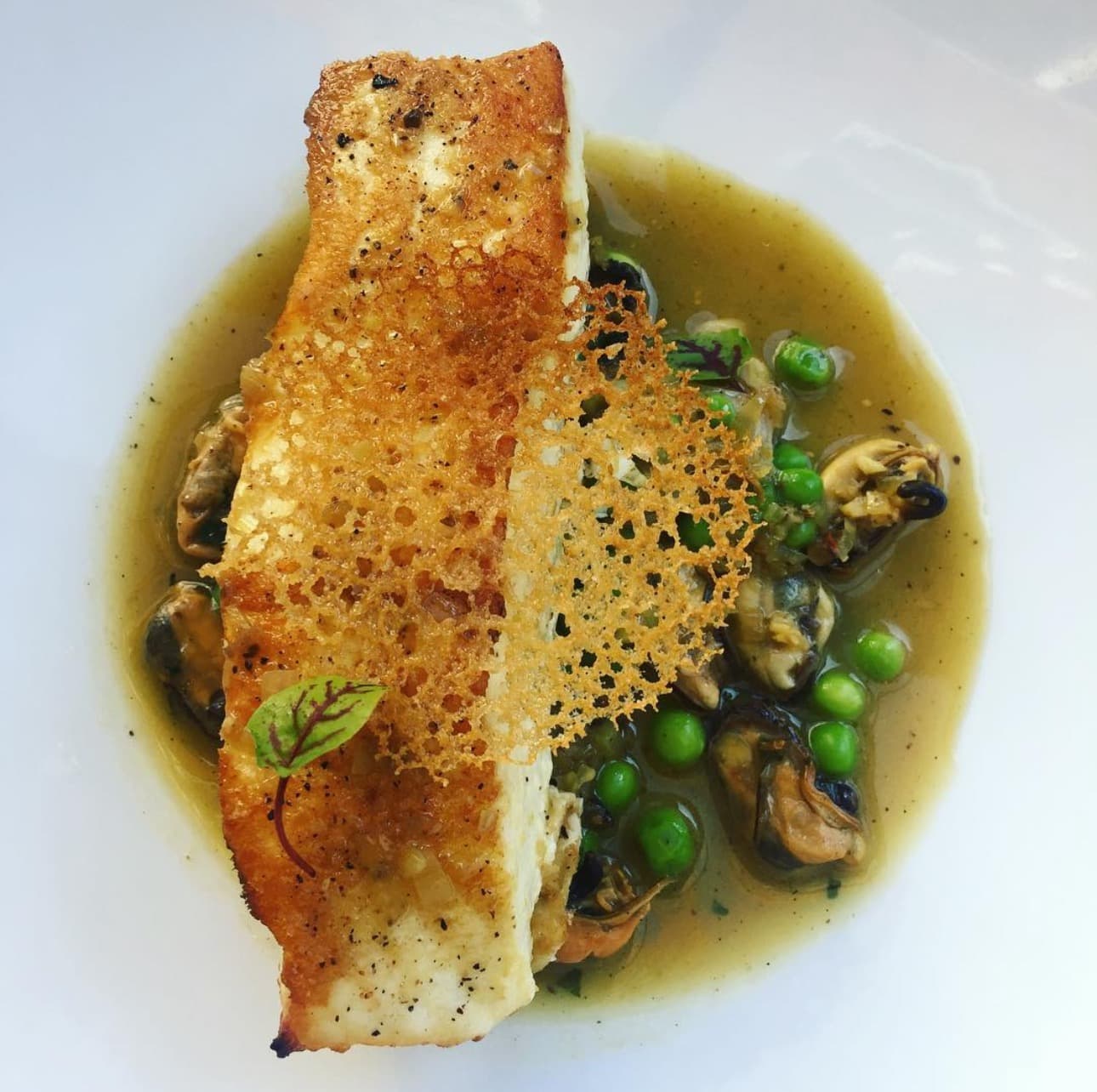 Pan-seared halibut | mussels | English peas | parmesan tuile